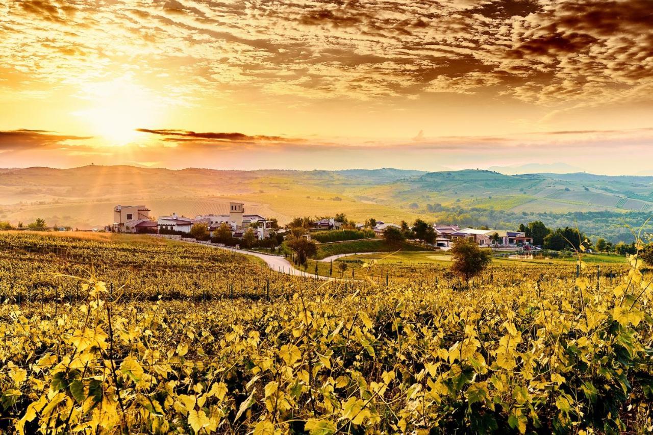 Zornitza Family Estate Relais & Chateaux เมลนิค ภายนอก รูปภาพ