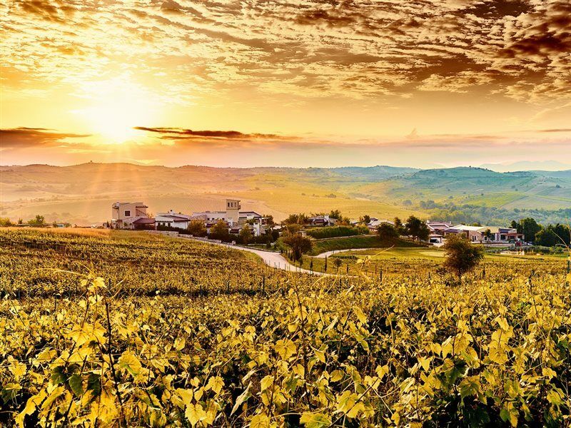 Zornitza Family Estate Relais & Chateaux เมลนิค ภายนอก รูปภาพ